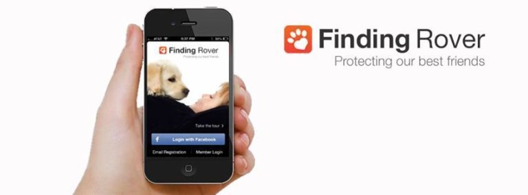 ¡Fiding rover! encuentra a tu mascota perdida