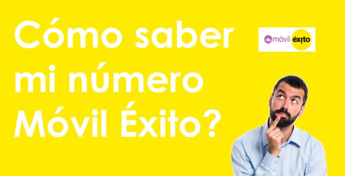 cómo saber mi número éxito cómo saber mi número éxito